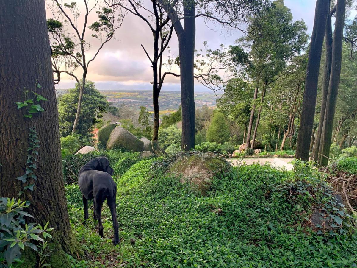 Eighteen21 Houses - Secluded Charm Cottage In Quinta Velha Sintra Exterior foto